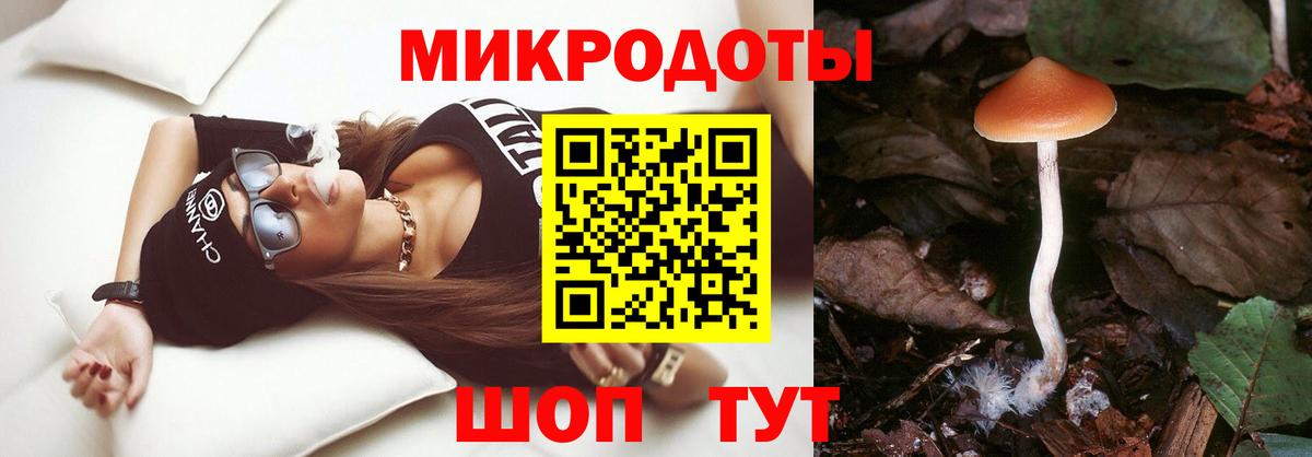 Псилоцибиновые грибы Psilocybine cubensis  Вход с VPN  Сальск  Псилоцибиновые грибы Psilocybe 
